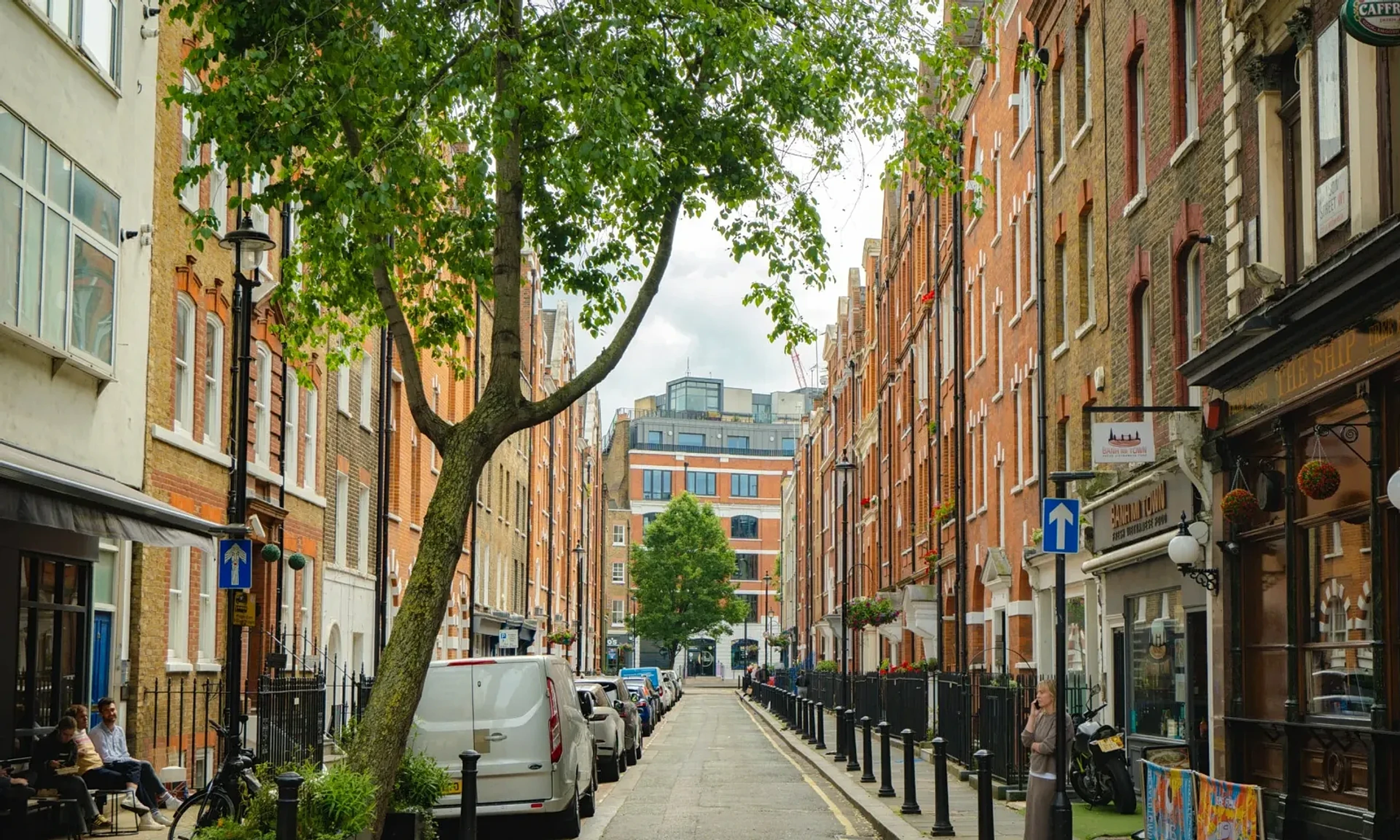 A tree-lined street in Fitzrovia